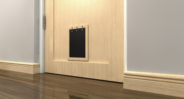 Cat Flap Installation Loughton, High Beach, IG10