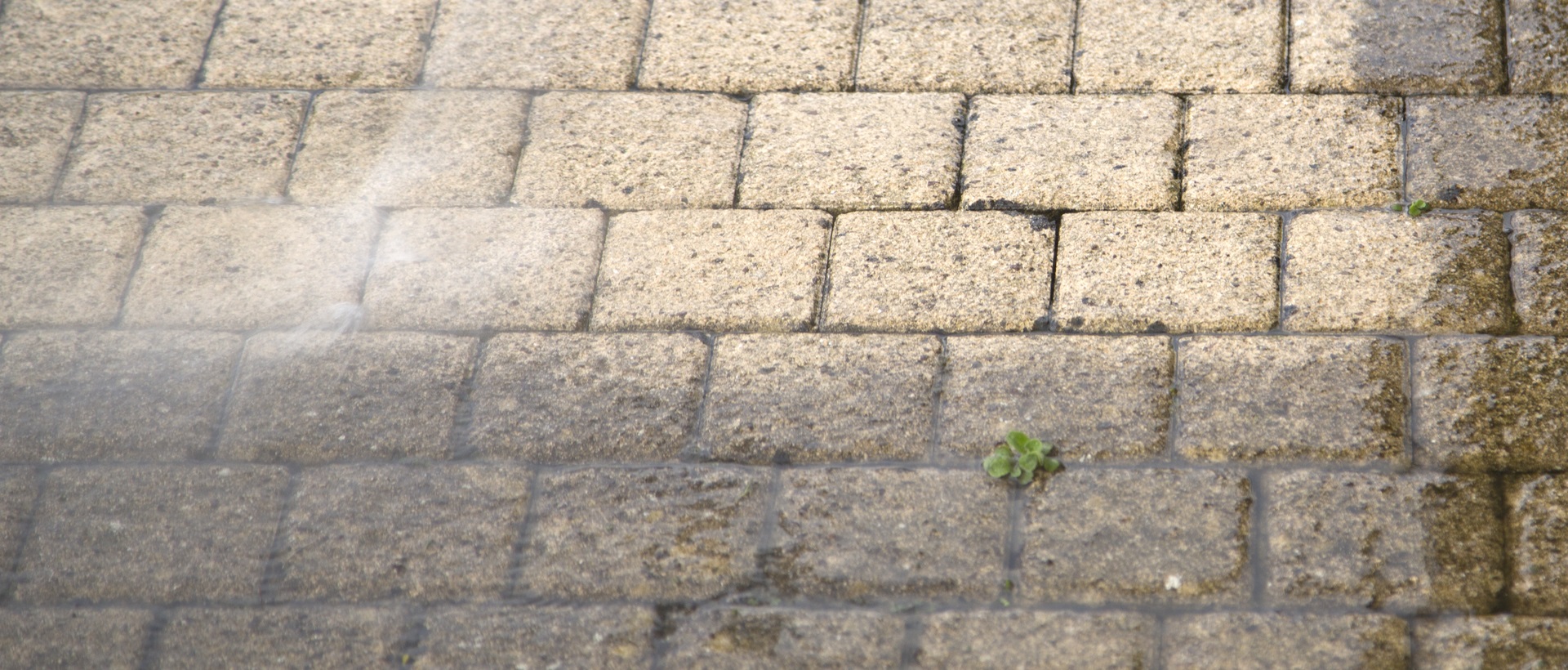 flagging and patios IG10