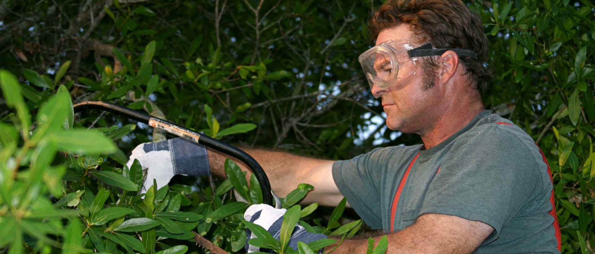 garden clearance IG10